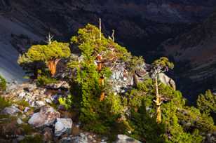 Tioga Pass-8961